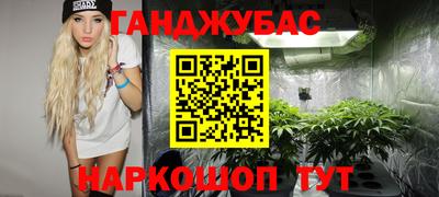 трава Партизанск