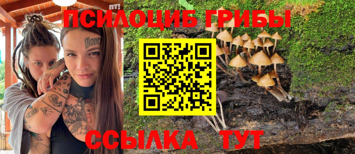 Галлюциногенные грибы Magic Shrooms Прохладный