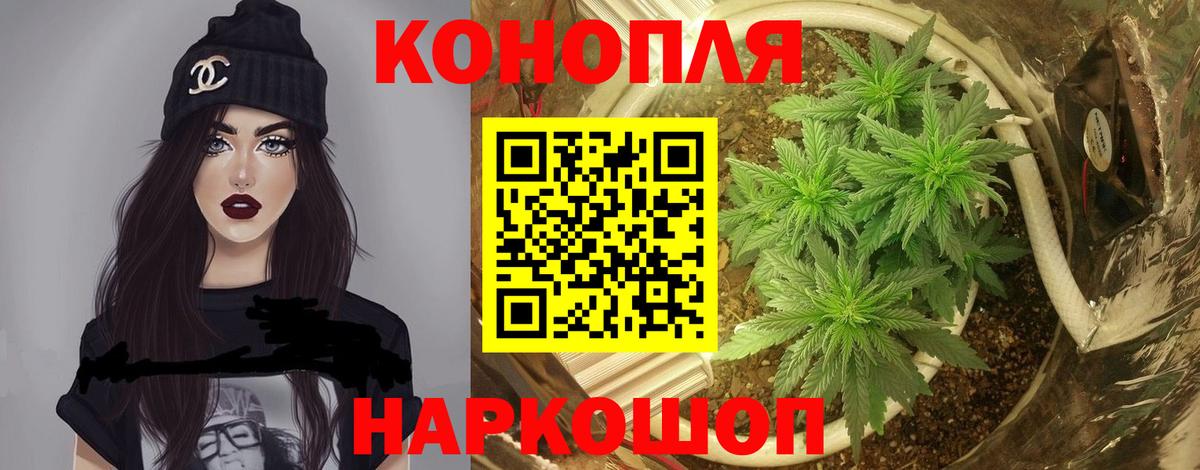 Бошки марихуана MAZAR  Вход с VPN  Бошки Шишки White Widow  Бошки марихуана THC 21%  Бошки Шишки марихуана  Прохладный 